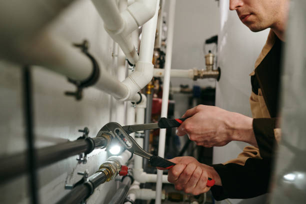 Best Plumbing Inspection Services  in Plainview, MN