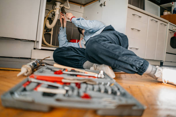 Best Clogged Drain Plumber  in Plainview, MN